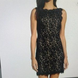 Adrianna Papell Lace Above the Knee Boat Neck Dress